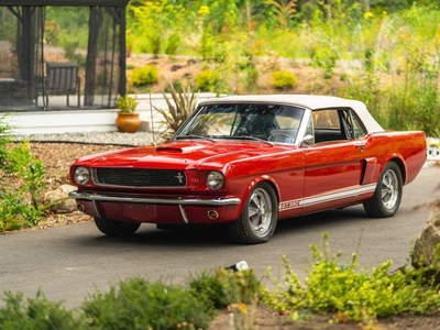 1966 Ford Shelby Convertible