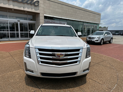 2019 Cadillac Escalade Premium Luxury 4WD in Knoxville, TN