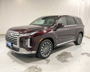 Hyundai PALISADE Calligraphy