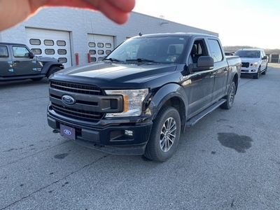 Used 2019 Ford F-150 XLT 4WD