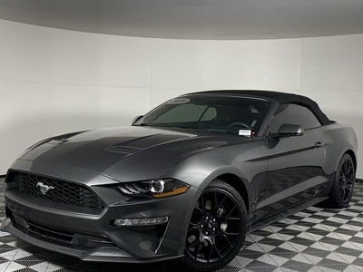 2019 Ford Mustang