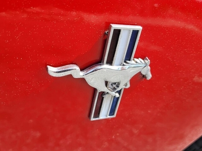2003 Ford Mustang in Jacksonville, FL