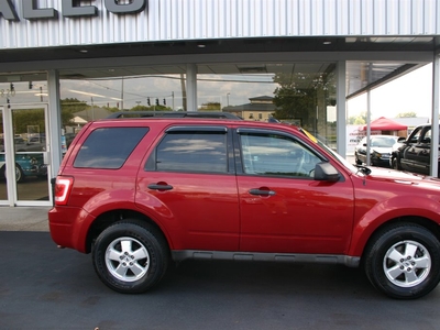 2009 Ford Escape XLT in Owensboro, KY
