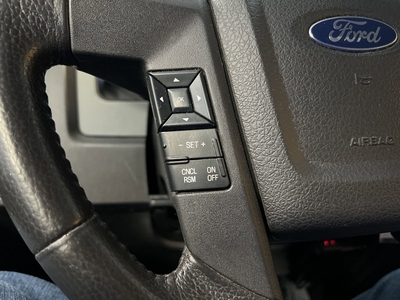 2012 Ford F-150 FX4 in Two Harbors, MN