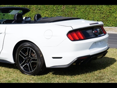 2022 Ford Mustang GT Premium in Miami, FL