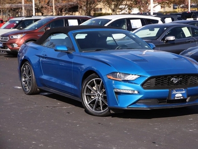 2019 Ford Mustang EcoBoost Premium in Hazelwood, MO