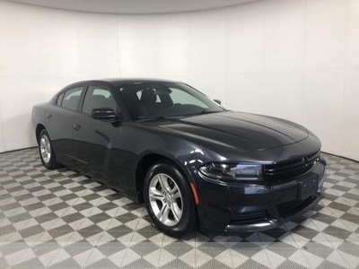 2019 Dodge Charger for Sale in Centennial, Colorado
