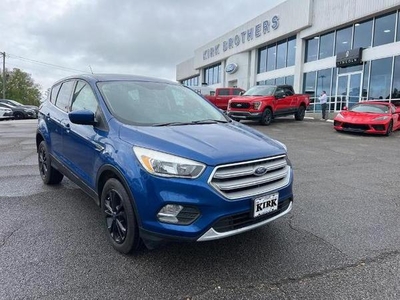 2019 Ford Escape for Sale in Saint Louis, Missouri