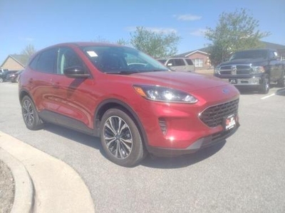 2021 Ford Escape for Sale in Saint Louis, Missouri