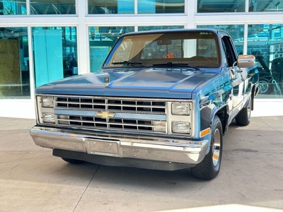 1987 Chevrolet R/V 10 Series Truck
