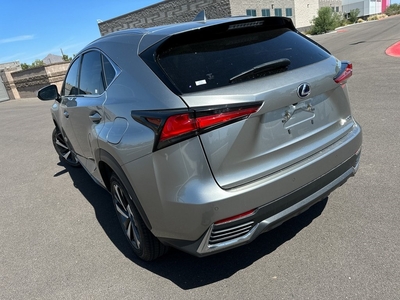 2019 Lexus NX 300h in Scottsdale, AZ