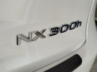 2020 Lexus NX 300H in Woodland Hills, CA