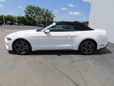 2018 Ford Mustang EcoBoost Premium in Racine, WI