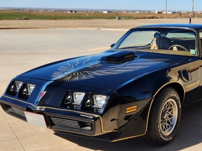 1979 Pontiac Trans Am For Sale