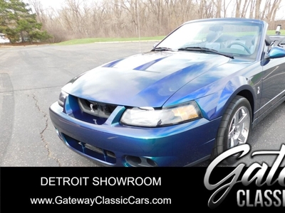 2004 Ford Mustang Cobra For Sale