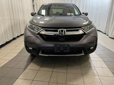 2019 Honda CR-V for Sale in Chicago, Illinois