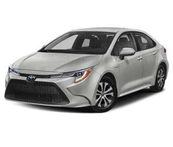 2020 Toyota Corolla Hybrid LE for sale in Murfreesboro, Tennessee, Tennessee