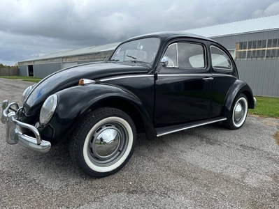 FOR SALE: 1963 Volkswagen Beetle $15,000 USD