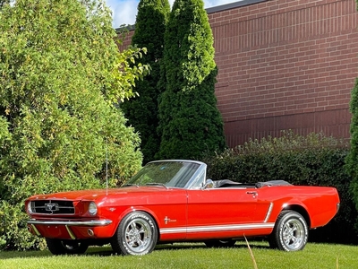 1965 Ford Mustang Long Term Previous Owner, V8