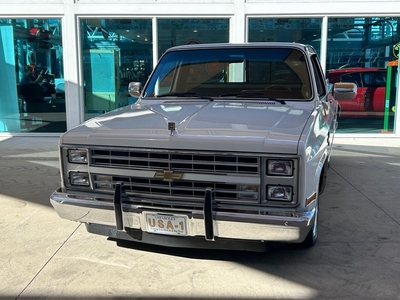 1987 Chevrolet R/V 10 Series