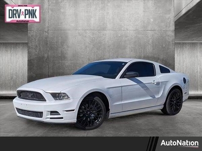 2014 Ford Mustang for Sale in Northwoods, Illinois