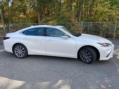 2021 Lexus ES 250 for Sale in Northwoods, Illinois