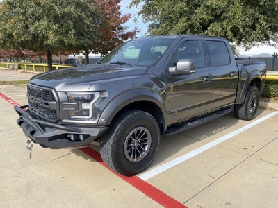 2019 Ford F-150 Raptor 802A Package,twin Panel Roof,carbon,17 Wheels, TE
