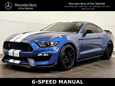 Mustang Shelby GT350 Fastback Coupe