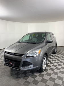 2014 Ford Escape SE in Shakopee, MN