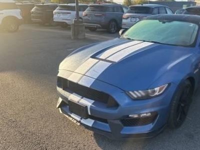 2019 Ford Mustang Shelby GT350 2DR Fastback