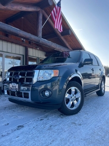 2009 Ford Escape Limited AWD 4dr SUV V6 for sale in Baxter, MN
