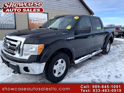 2012 Ford F-150 XLT SuperCrew 6.5-ft. Bed 4WD for sale in Chesaning, MI