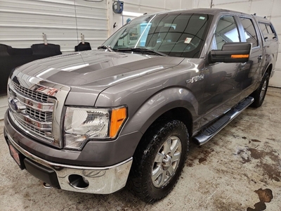 2013 Ford F-150 XLT 4x4 4dr SuperCrew Styleside 5.5 ft. SB for sale in Anoka, MN