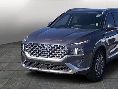 2022 Hyundai Santa Fe HEV for Sale in Chicago, Illinois
