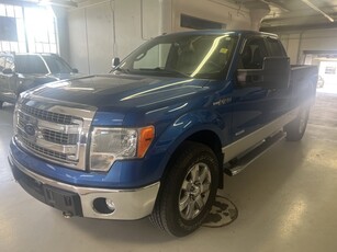 Used 2013 Ford F-150 XLT 4WD