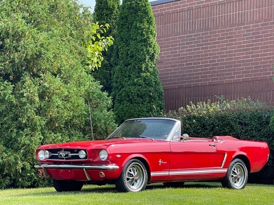 1965 Ford Mustang Good Looking V8 GT Tiribute