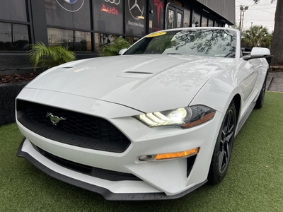 2019 Ford Mustang ECO Premium for sale in Tampa, FL