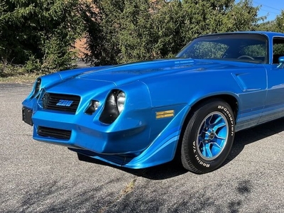 1981 Chevrolet Camaro For Sale