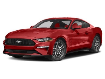 New 2023 Ford Mustang Coupe w/ Equipment Group 101A
