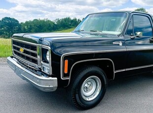 1979 Chevrolet Silverado Pickup