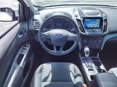 2019 Ford Escape SE in New Bern, NC