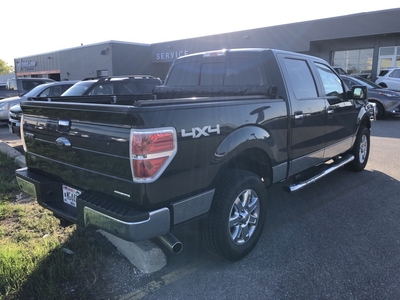 2013 Ford F-150 King Ranch in Rochester, MN