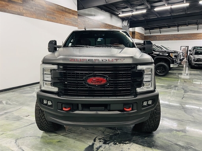 2019 Ford F250 S/D Platinum in Jacksonville, FL