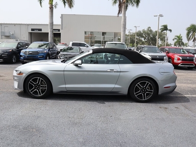 2022 Ford Mustang EcoBoost Premium in Fort Myers, FL