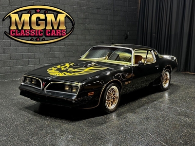 1977 Pontiac Trans Am WS4 Holley Fuel Injected 6.6 Liter Nice Paint!!