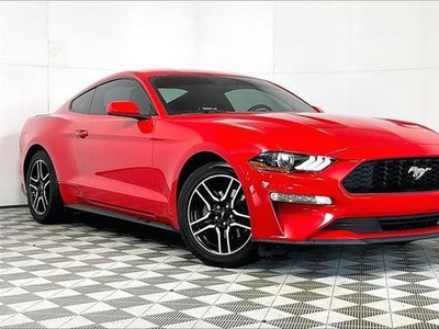 2019 Ford Mustang for Sale in Chicago, Illinois