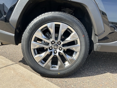 2019 Toyota RAV4 XLE Premium in Eau Claire, WI