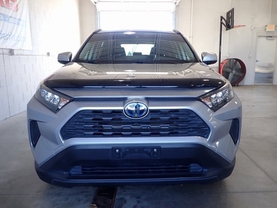 2019 Toyota RAV4 XLE Premium in New Philadelphia, OH