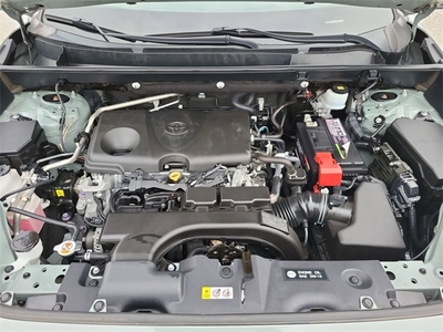 2019 Toyota RAV4 XLE Premium in Orlando, FL