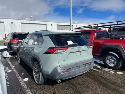 2019 Toyota RAV4 XLE Premium in Prescott, AZ